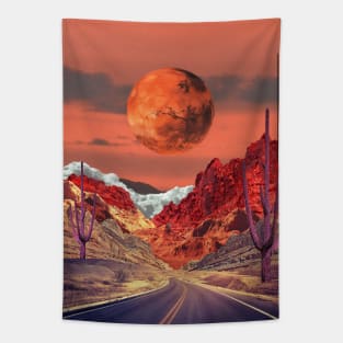 Towards Mars Tapestry