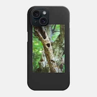 Dead tree in a young forest Phone Case