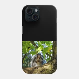 Animals in Trees A Squirrel Phone Case