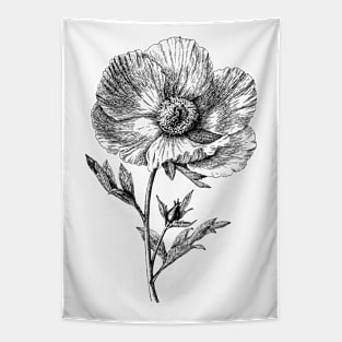 Poppy Flower Black and White Vintage Botanical Illustration Tapestry