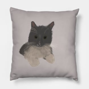 Norwegian forest cat Pillow