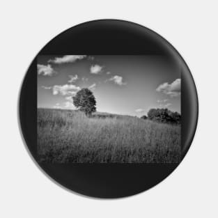 Lonely Tree landscape black and white photography Pin