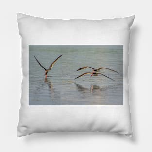 Feeding Skimmers Pillow