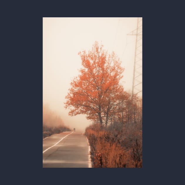 Autumn Road by cinema4design