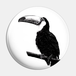 Toco toucan illustration Pin