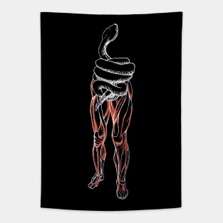 Whoops! Torso is a Snake Tapestry