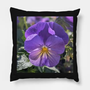 Purple and Yellow Striped Flower Pillow