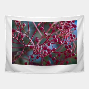 Red Berries Tapestry