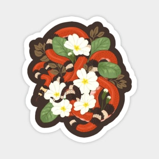 Honduran Milk Snake and Primroses Magnet