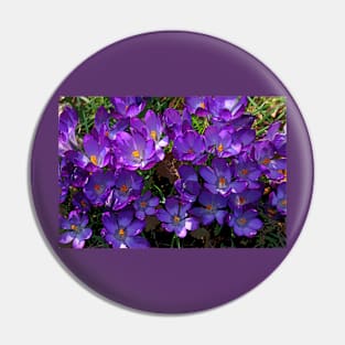 Crocus Cluster Pin