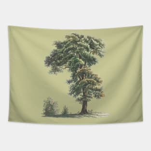 Trees Oil Painting Tapestry