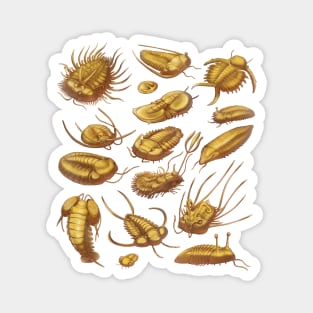 Golden Trilobites Magnet