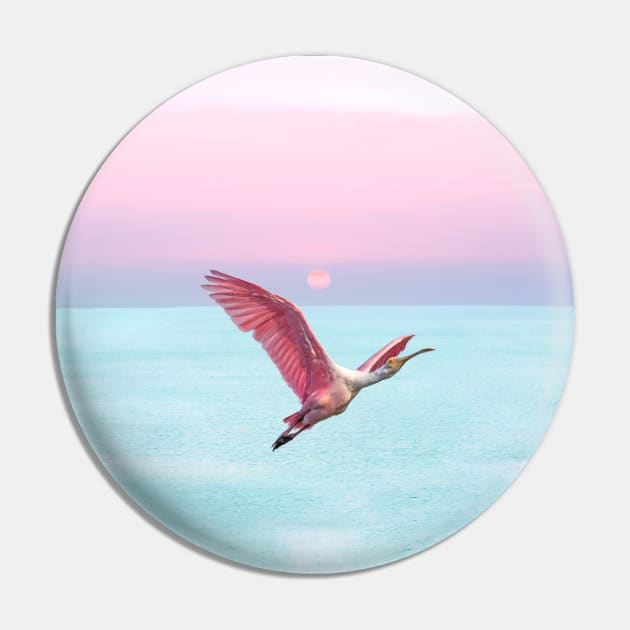 Roseate Spoonbill at Sunset Pin by lauradyoung