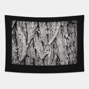 Cottonwood Tree Bark Abstract Tapestry
