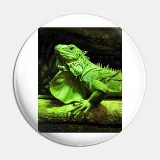 Green Iguana Pin