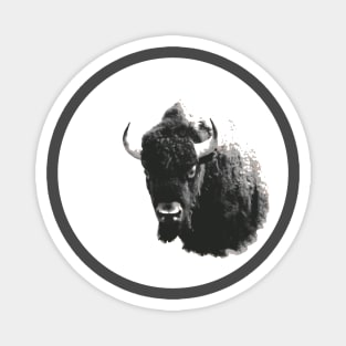 American Bison Spirit Animal Black and White Magnet