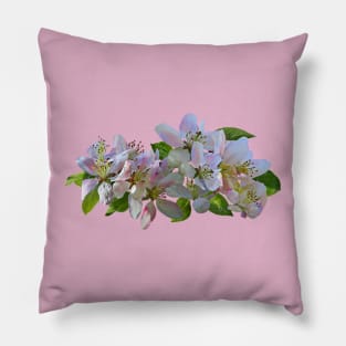 Apple Blossoms Pillow