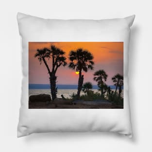 Sunset at the shore of salt lake-Nature Pillow