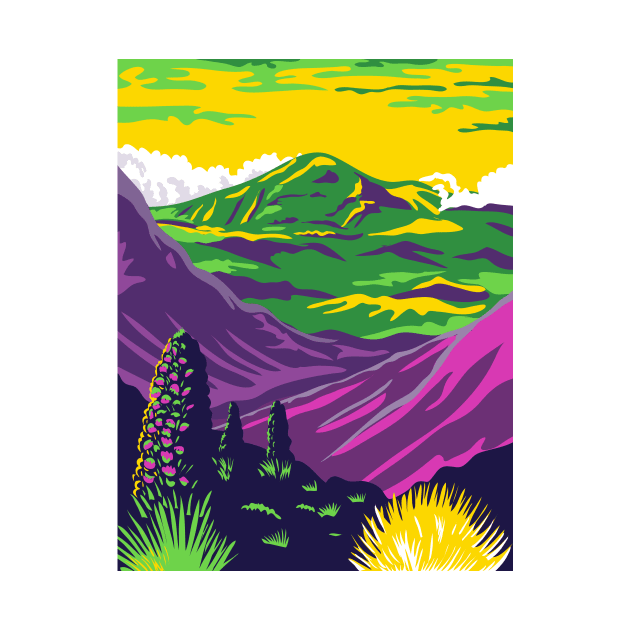 Haleakala National Park and Haleakala Volcano in Maui Hawaii United States WPA Poster Art Color by patrimonio