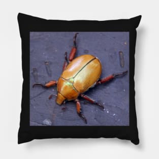 Christmas Beetle  - South Australia Pillow