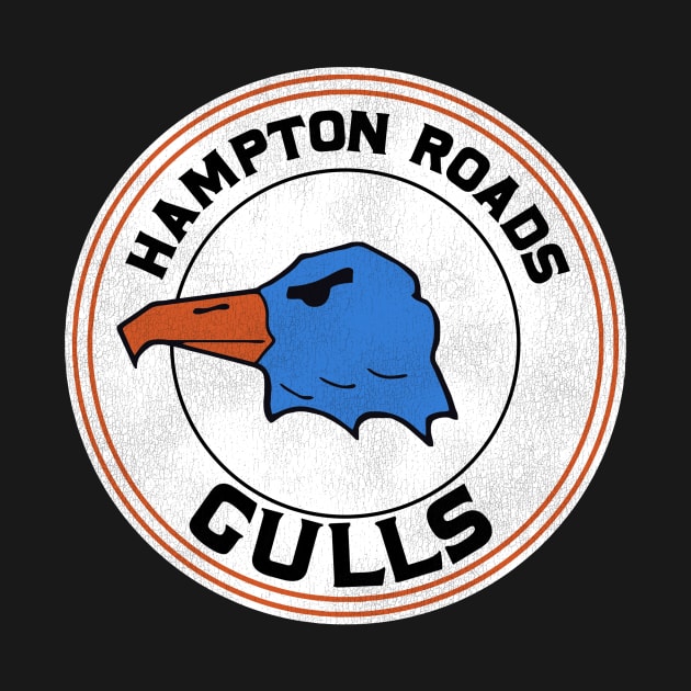 Defunct Hampton Roads Gulls Hockey Team by Defunctland