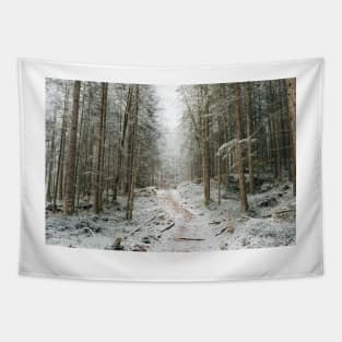 Trees trees trees landscape photography Tapestry