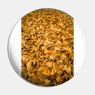 Fall Leaves Pin