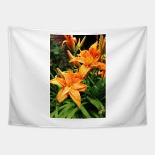 Orange daylily Tapestry