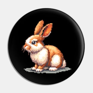 16-Bit Rabbit Pin