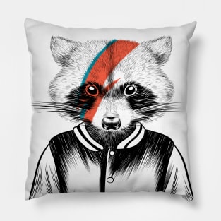 Raccoon Rock Pillow