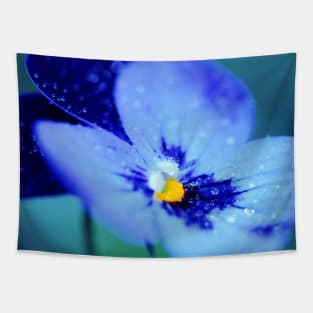 Pansy Blues Tapestry