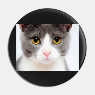 Grey and White Cat Face, Gifts Cat Lovers Pin