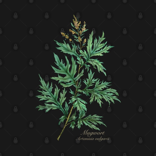 Witch herbs. Mugwort by Sitenkova