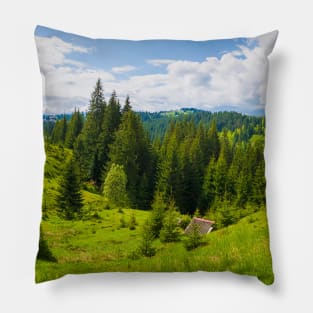 green hills panorama Pillow