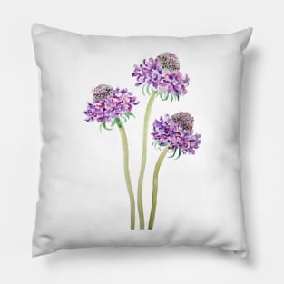 purple scabiosa scoop flowers watercolor Pillow