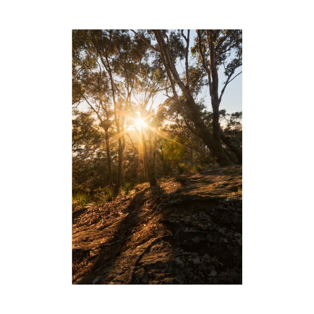 Sunrise on Blackwall Mountain on NSW Central Coast by Geoff79