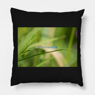 Damsel In Blue Pillow