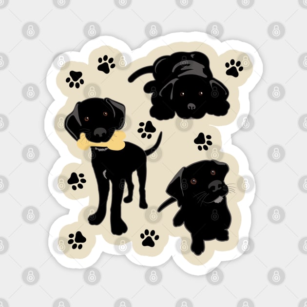 Three Black Lab Puppies Magnet by DesignCat