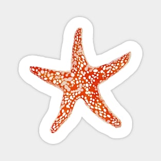 Starfish, Coral Orange with white bubbles Magnet