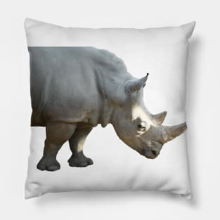 Black rhino / Swiss Artwork Photography Pillow