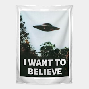 I want to believe Tapestry