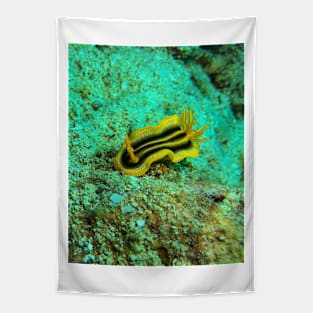 Pumpkin Sea Slug Tapestry