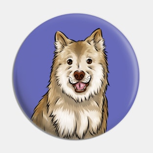 Finnish Lapphund Dog | Cream Pin