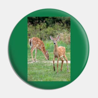 Curious Doe Pin