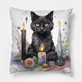 Witch's Familiar Pillow