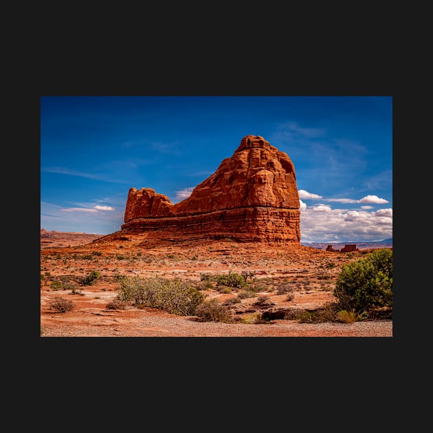 Rock Formation in Arches by Ckauzmann