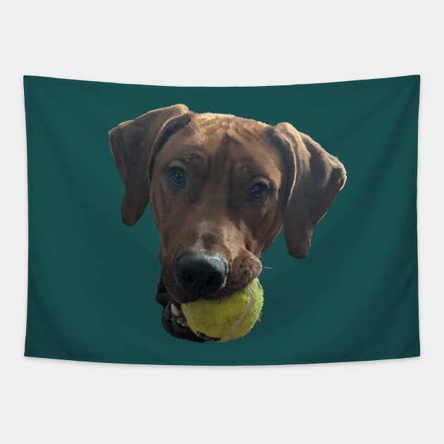 Rhodesian Ridgeback at Play Tapestry by ArtistsQuest