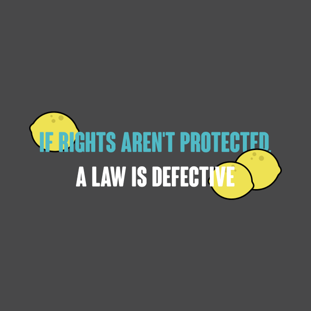 If Rights Aren't Protected, A Law is Defective by TrailGrazer