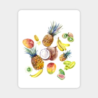 Tropical Fruits Magnet