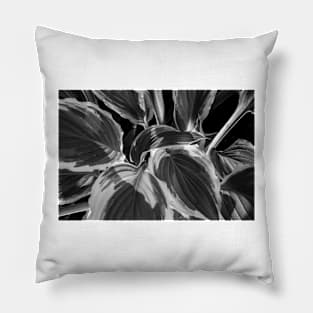 Hosta Leaves In The Rain 9 Pillow